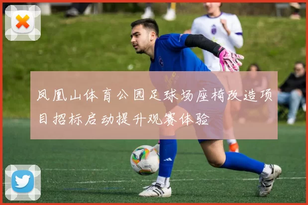 凤凰山体育公园足球场座椅改造项目招标启动提升观赛体验